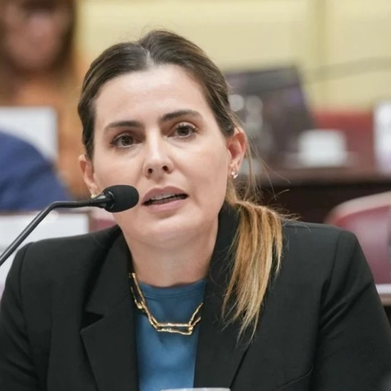 Cattalini pidi&oacute; celeridad al Consejo de la Magistratura en el caso de juez Salmain