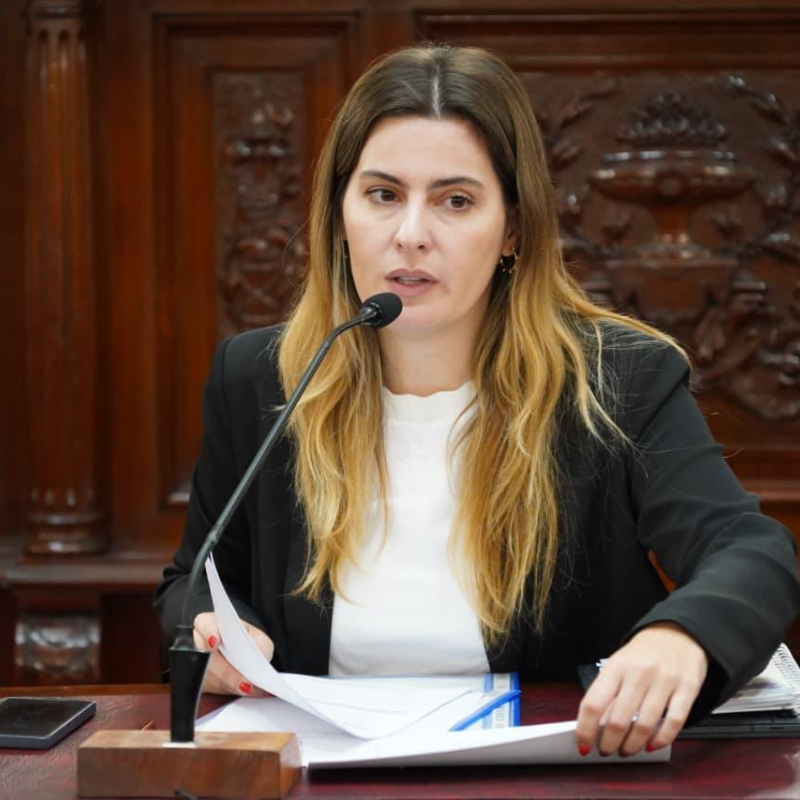 Lionella Cattalini: "En la reforma de Santa Fe, la independencia del MPA no puede quedar a medias"