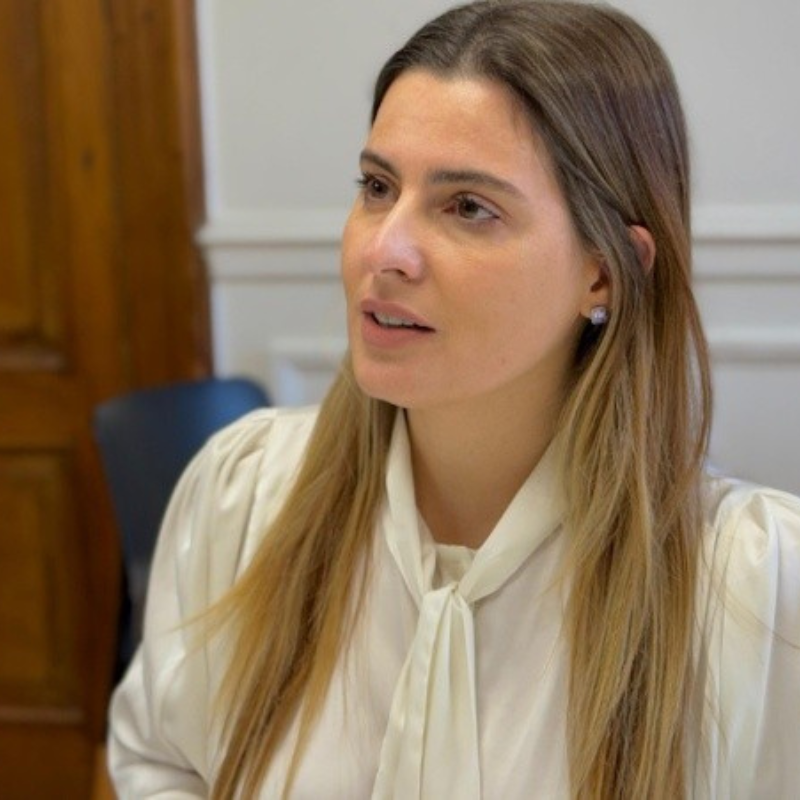 Lionella Cattalini: Bailaque, la reforma constitucional y lo que dejaron las elecciones provinciales